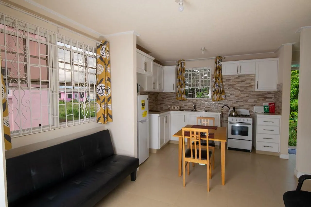 The Cottage, Saint Davids Christ Church Apartamento