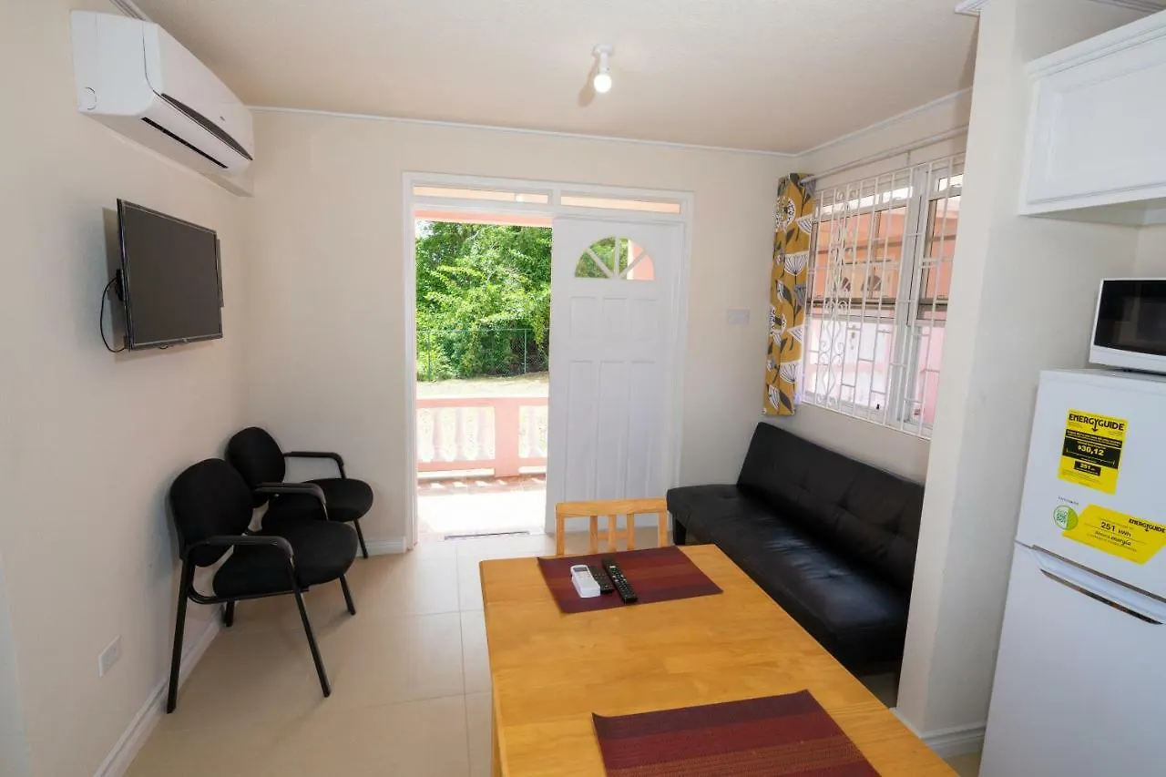 Apartamento The Cottage, Saint Davids Christ Church